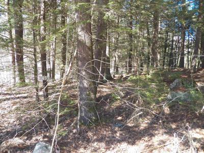 14-077 Deerpoint Drive