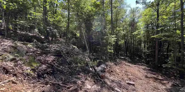 000 Echo View Drive