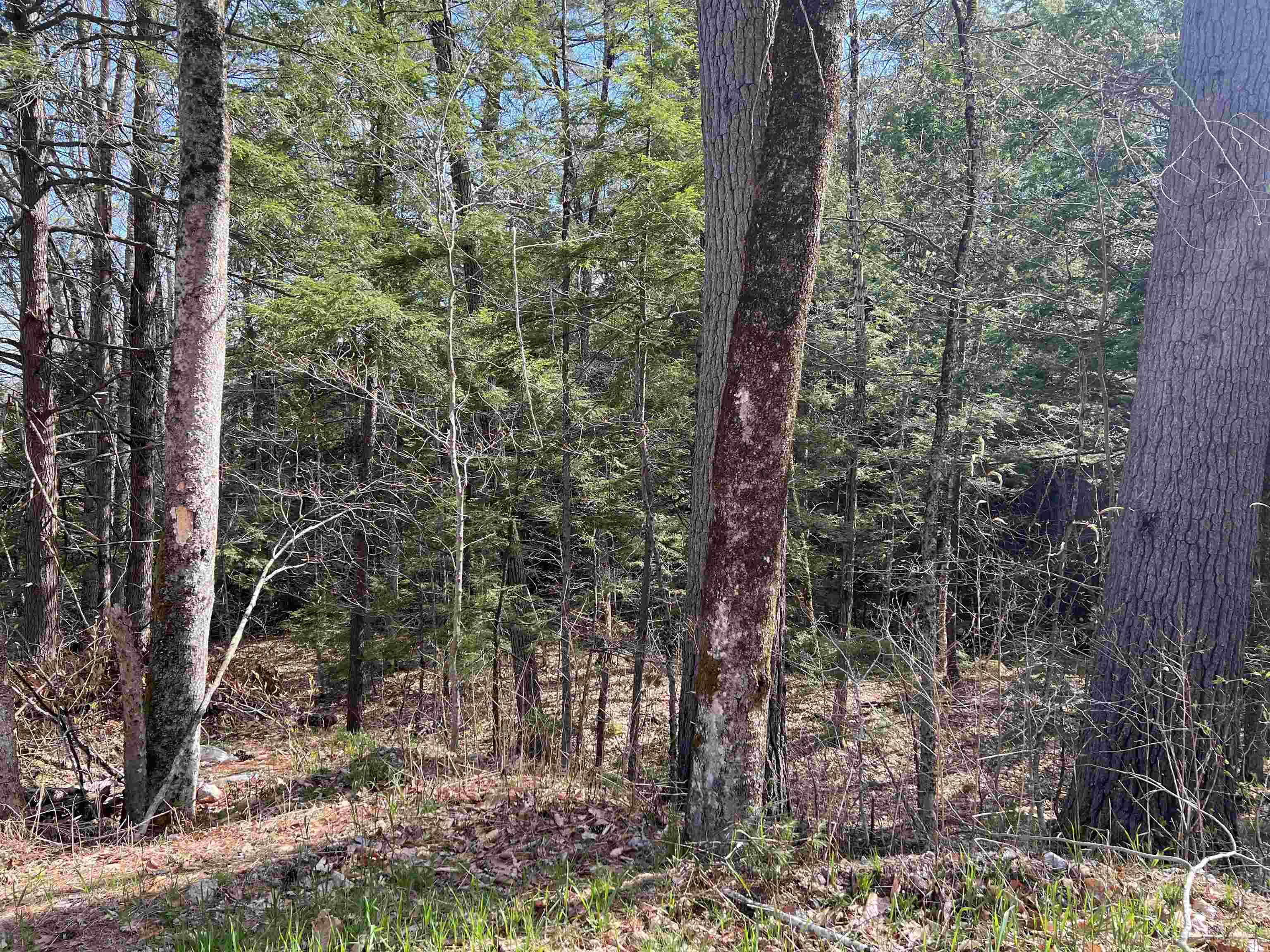 Image 3 Image 3
