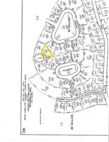Lot 297 Ivy