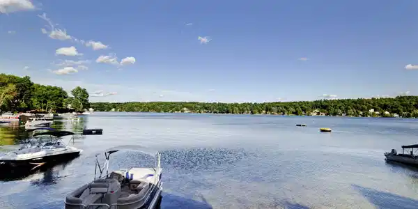 20 Fish