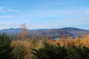 00 Scenic View