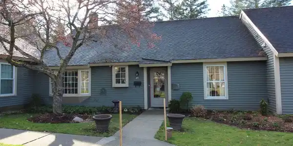 45 Conifer