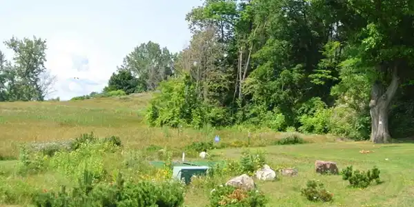 Lot 38 Marble Island