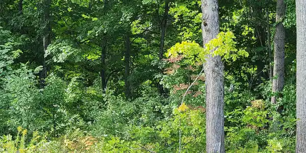 114 Ladd Hill Road