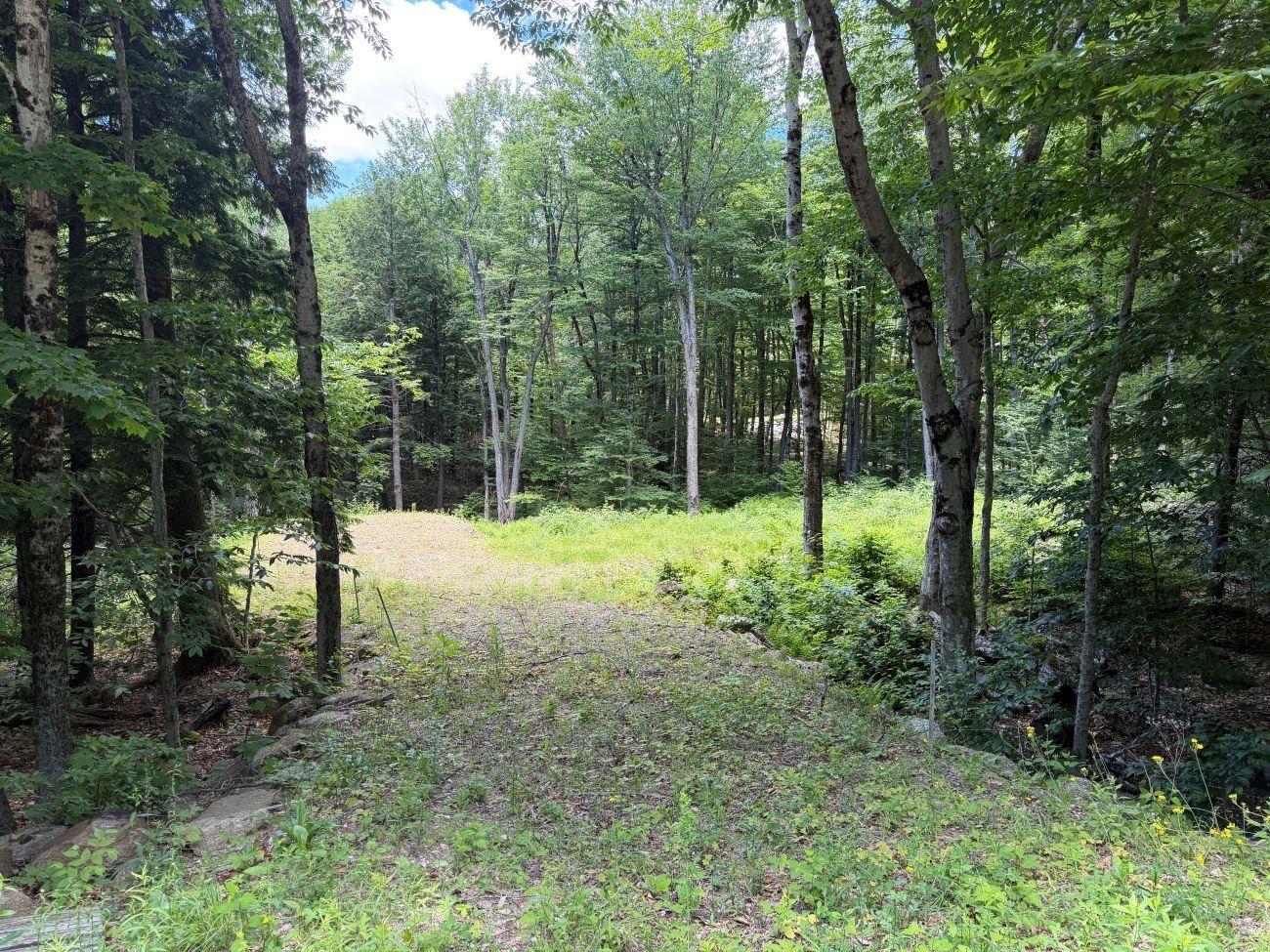 Image 1: 1.6 Acre Lot with drilled well Image 1: 1.6 Acre Lot with drilled well