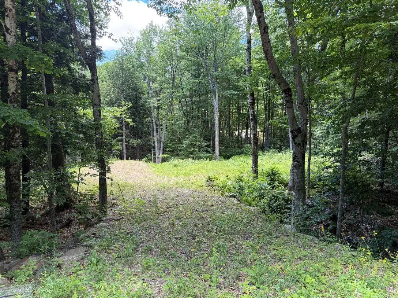 Image 1: 1.6 Acre Lot with drilled well Image 1: 1.6 Acre Lot with drilled well