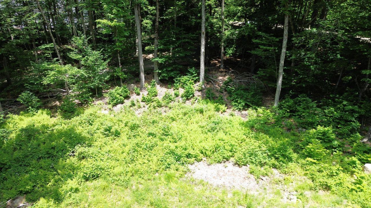 Image 3 Image 3