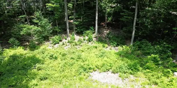 Image 3 Image 3