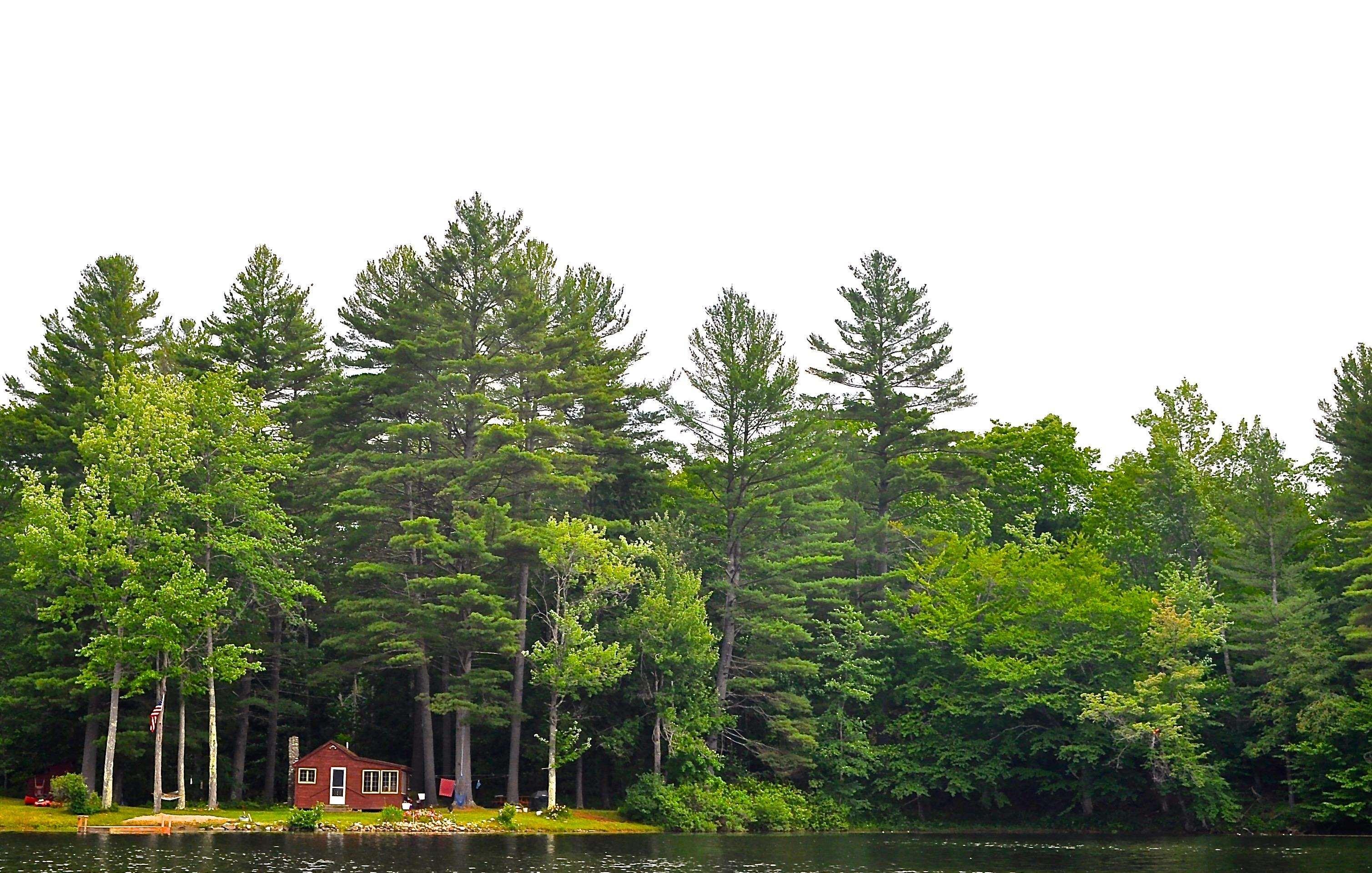 Image 2: Camp From Lake Pauline