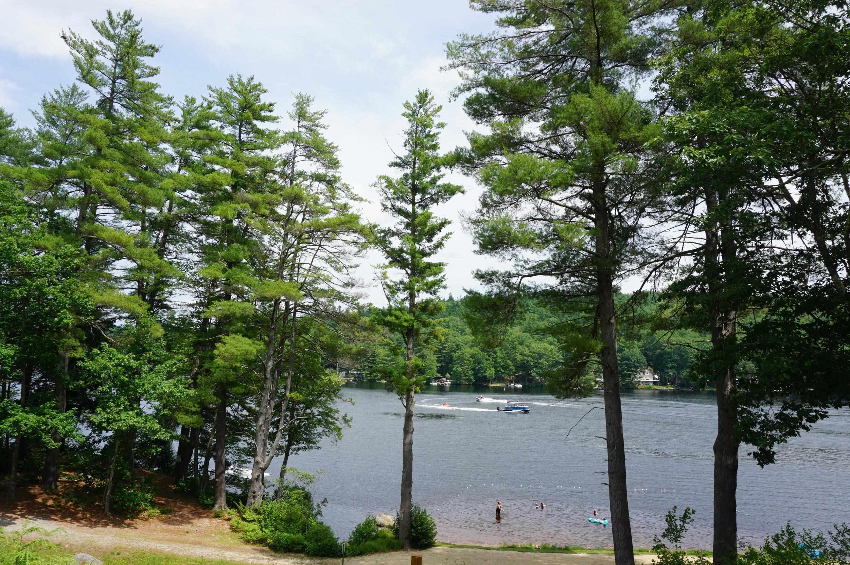 Image 1: ...HORACE LAKE!!!