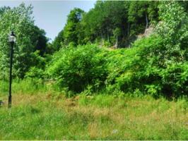 Lot 40 Marble Island
