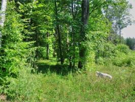 Lot 35 Marble Island