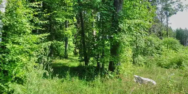 Lot 35 Marble Island