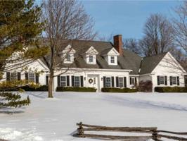 366 Black Willow