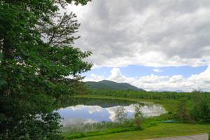 50 Patch Pond