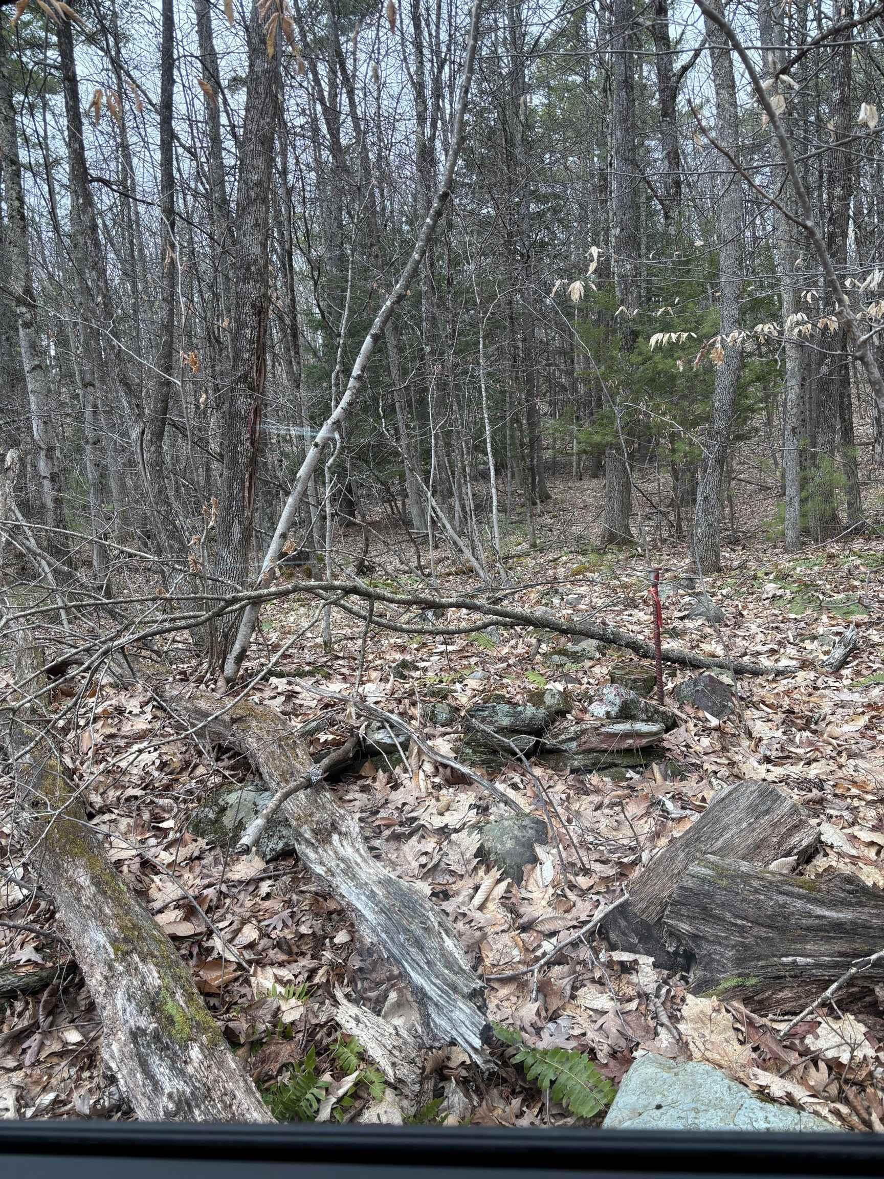 Image 1: Gleason land 1