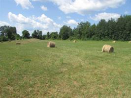 Lot 1227 East Shore