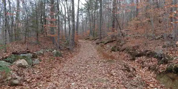 Lot 129 Frohock Brook