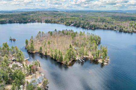 65.1 Gansy Island