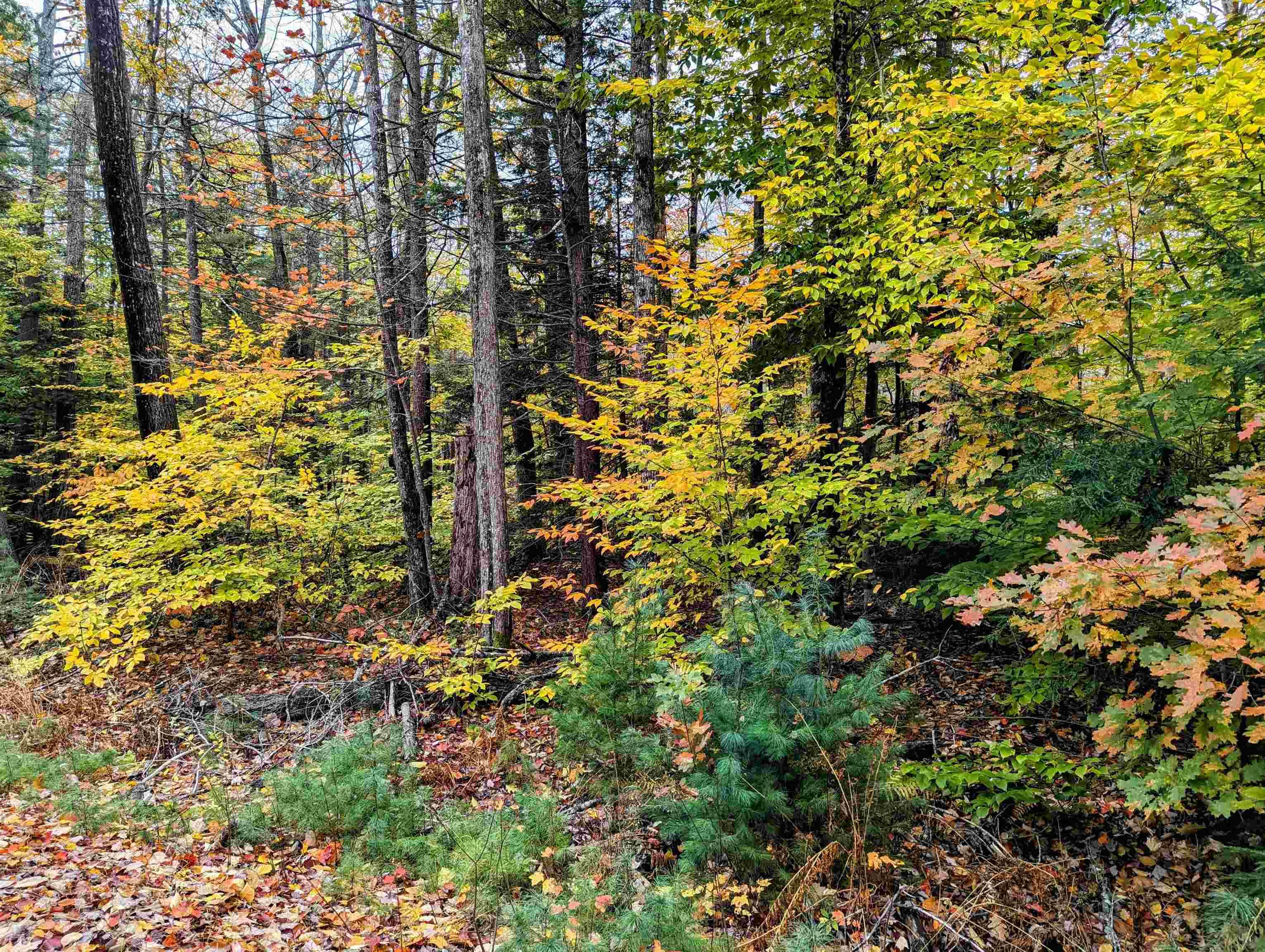 Image 1 Image 1
