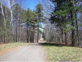 Lot #65 Cherry