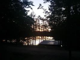 271 Hemlock