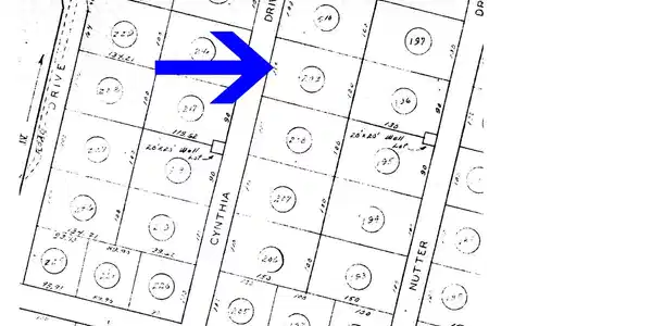 Lot 173 Cynthia