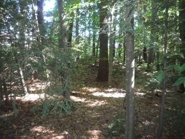 Image 1 Image 1