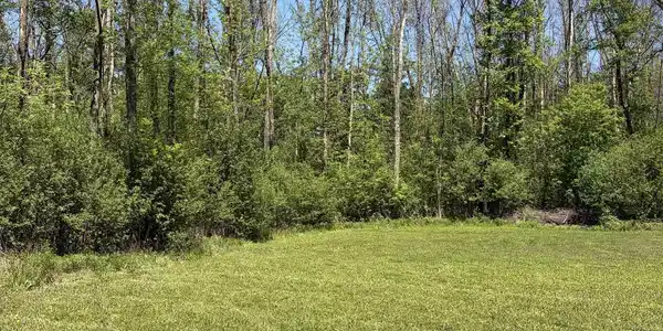 Image 4 Image 4