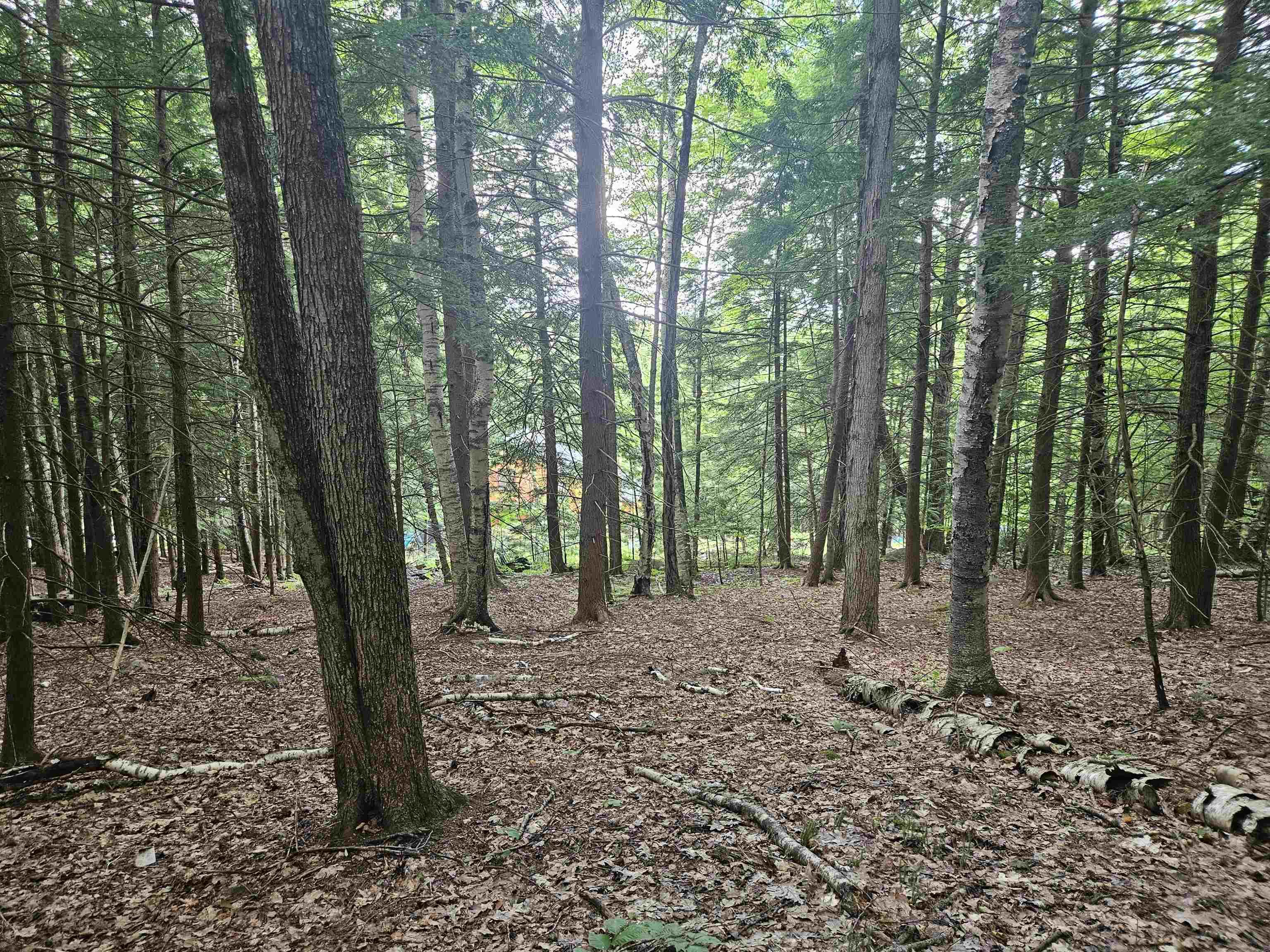 Image 1 Image 1