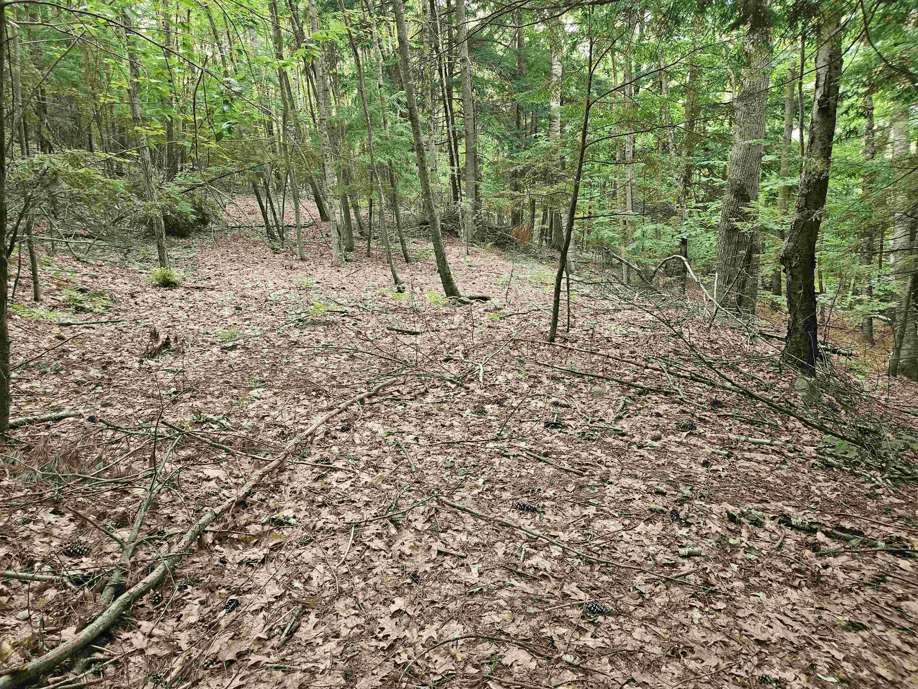 Image 2 Image 2