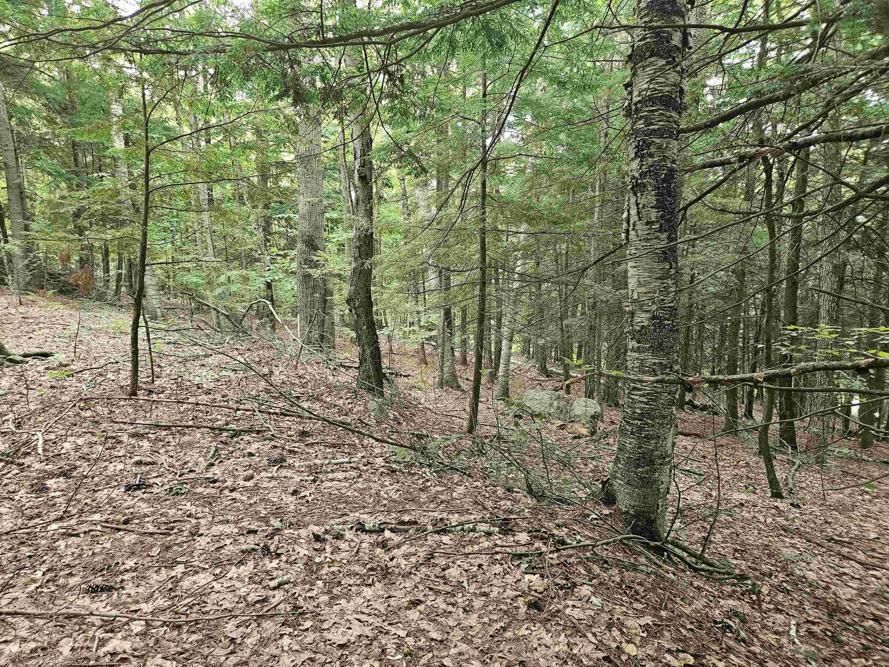 Image 4 Image 4