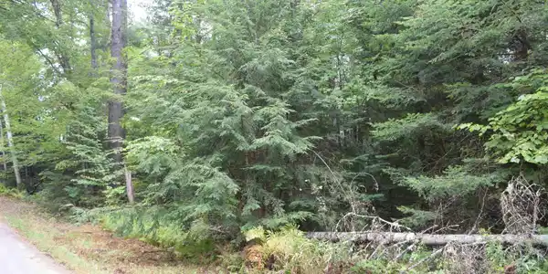 Pawtuckaway