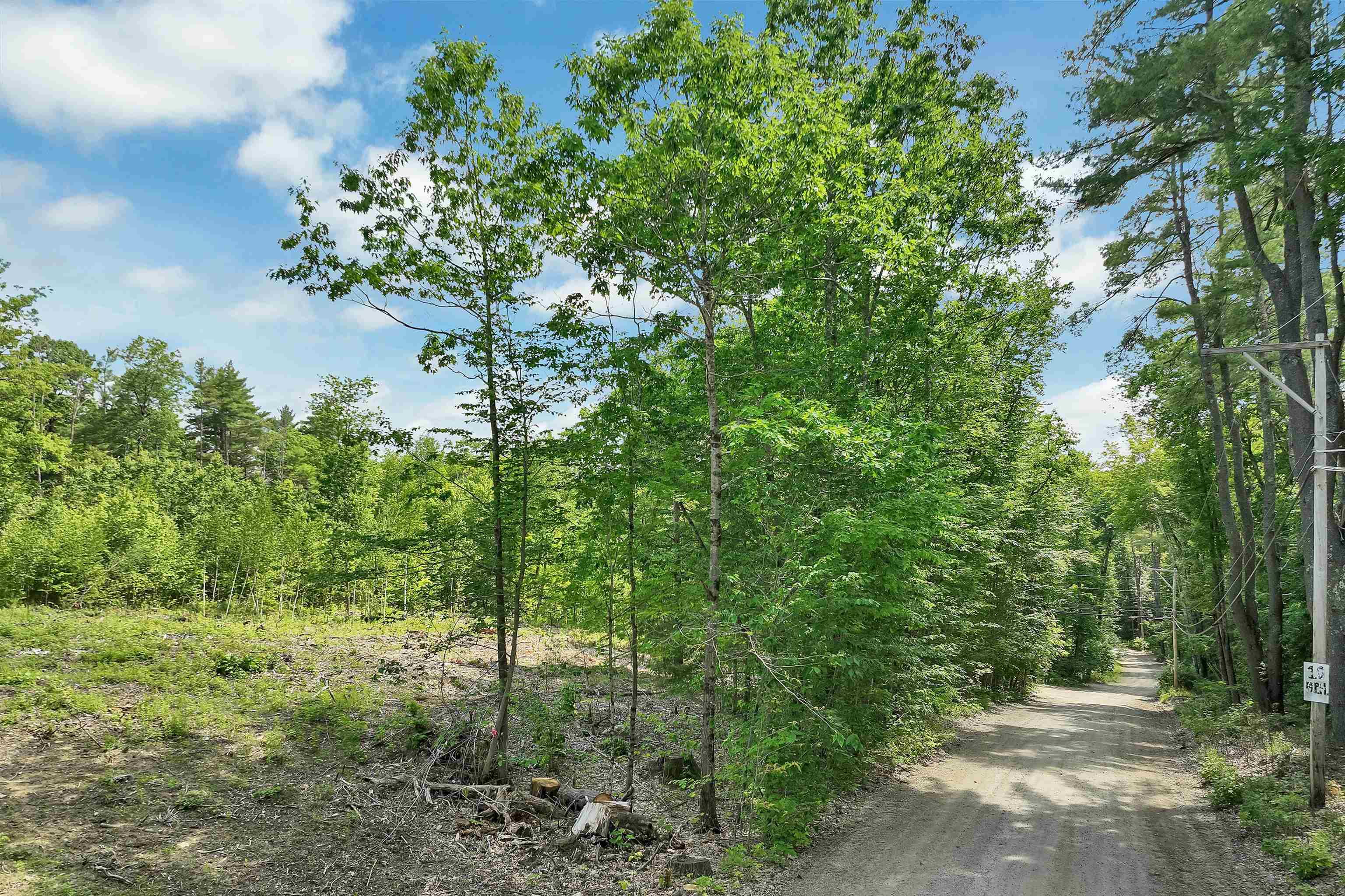 Image 4 Image 4