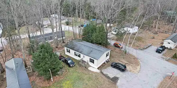 2 Deer