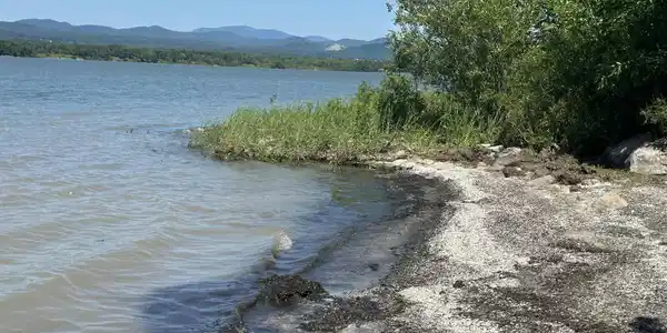 Image 1 Image 1
