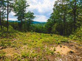 12 Peaked Hill