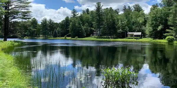 40 Murray Pond