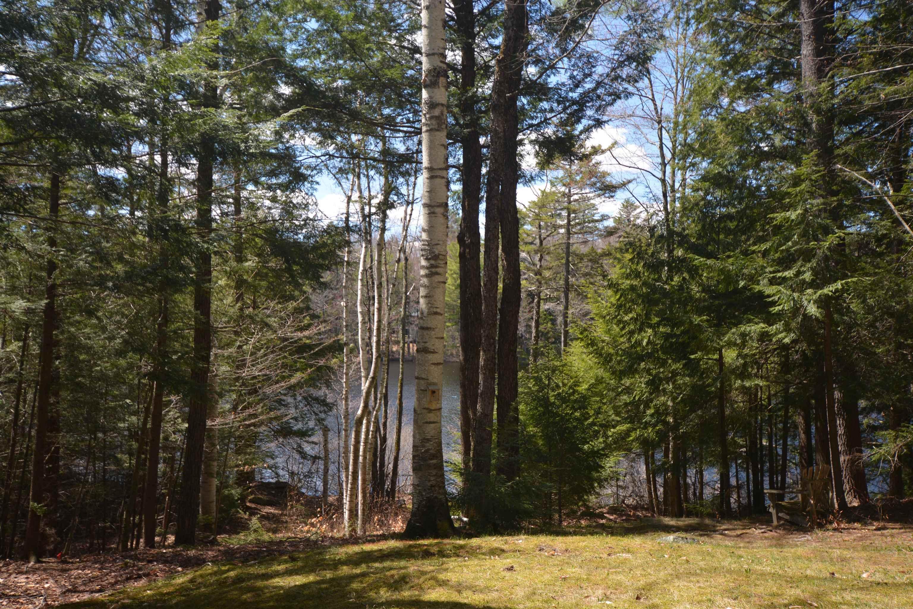 Image 4 Image 4