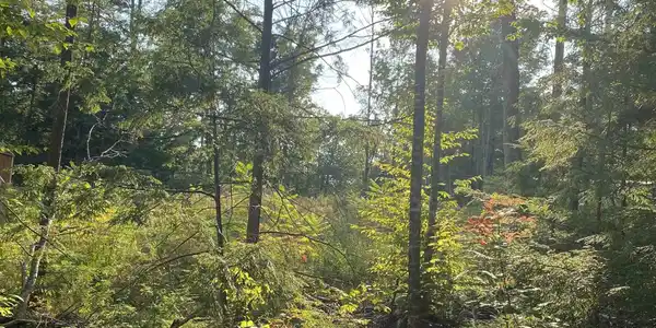 17 Autumn Road