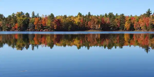 253 Long Pond