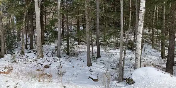 0 Beaver Lake
