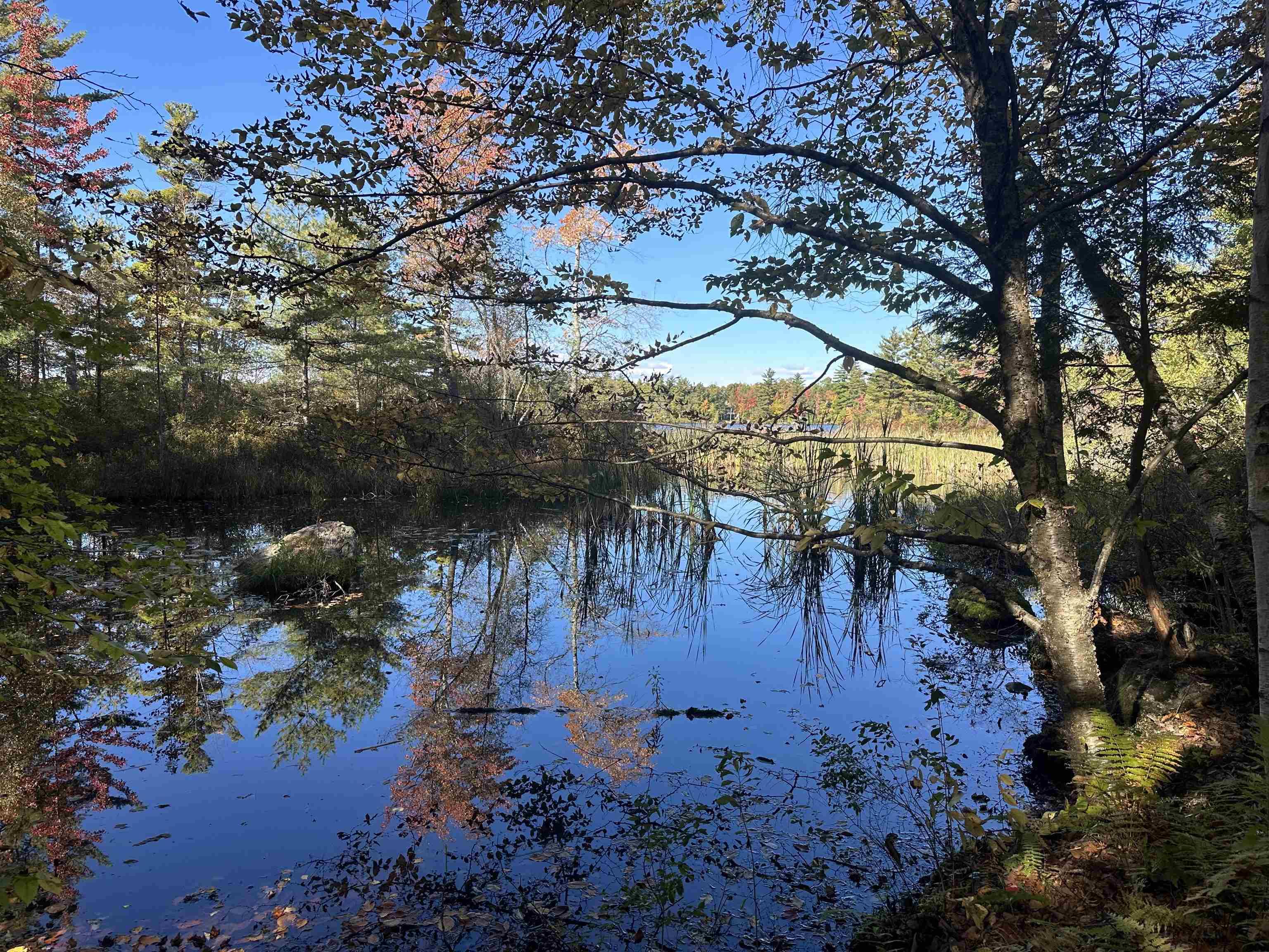 Image 4: Welcome to Sunrise Lake!