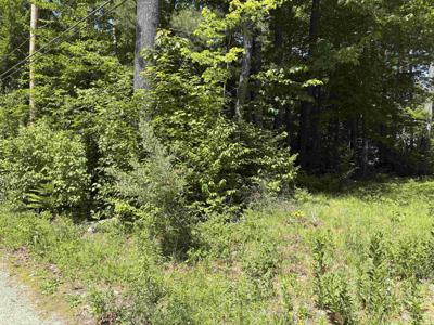 Lot 608 Rabbit Path