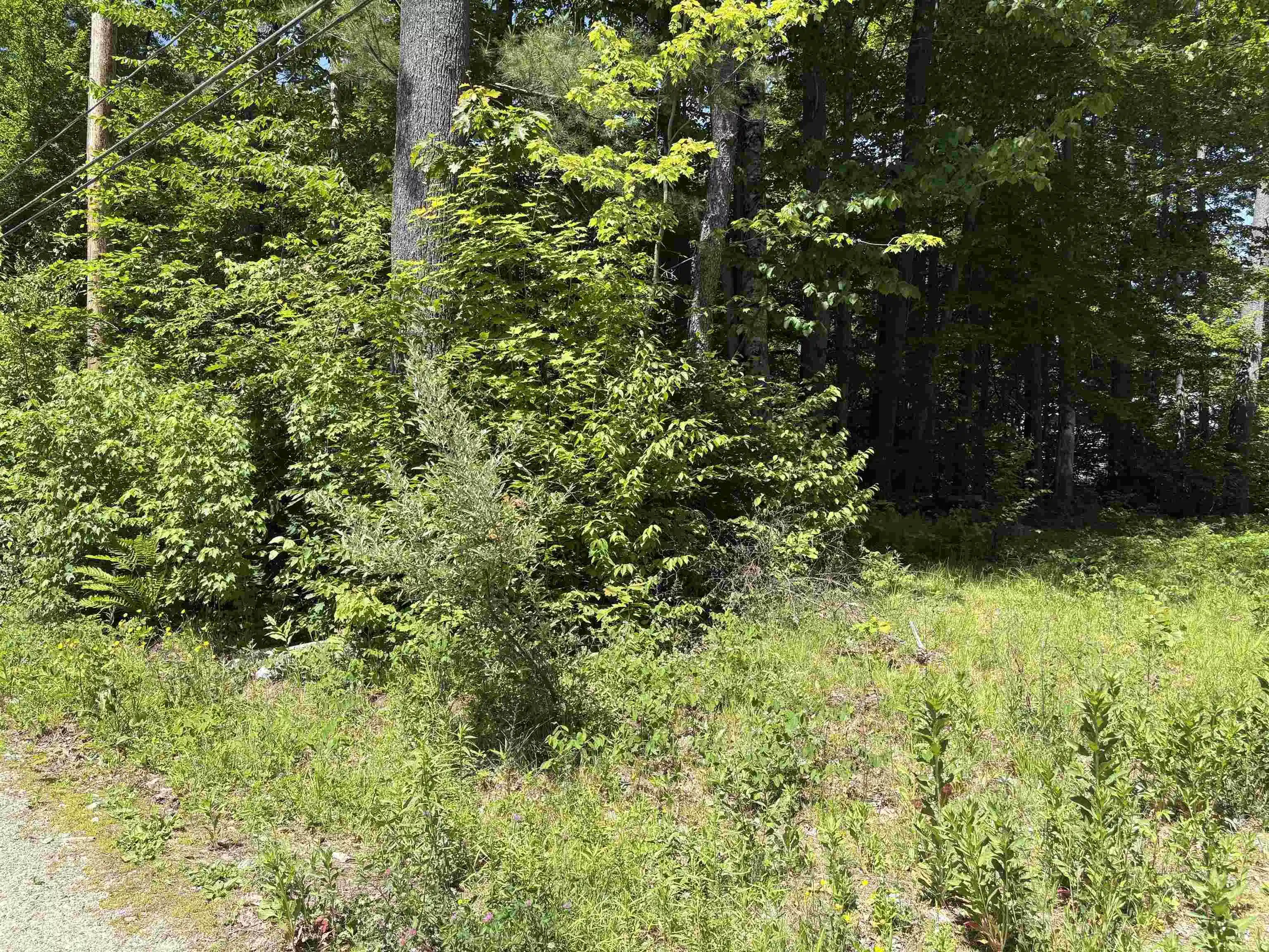 Image 1 Image 1