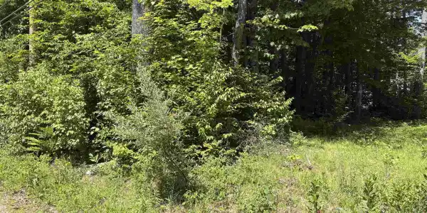Lot 608 Rabbit Path