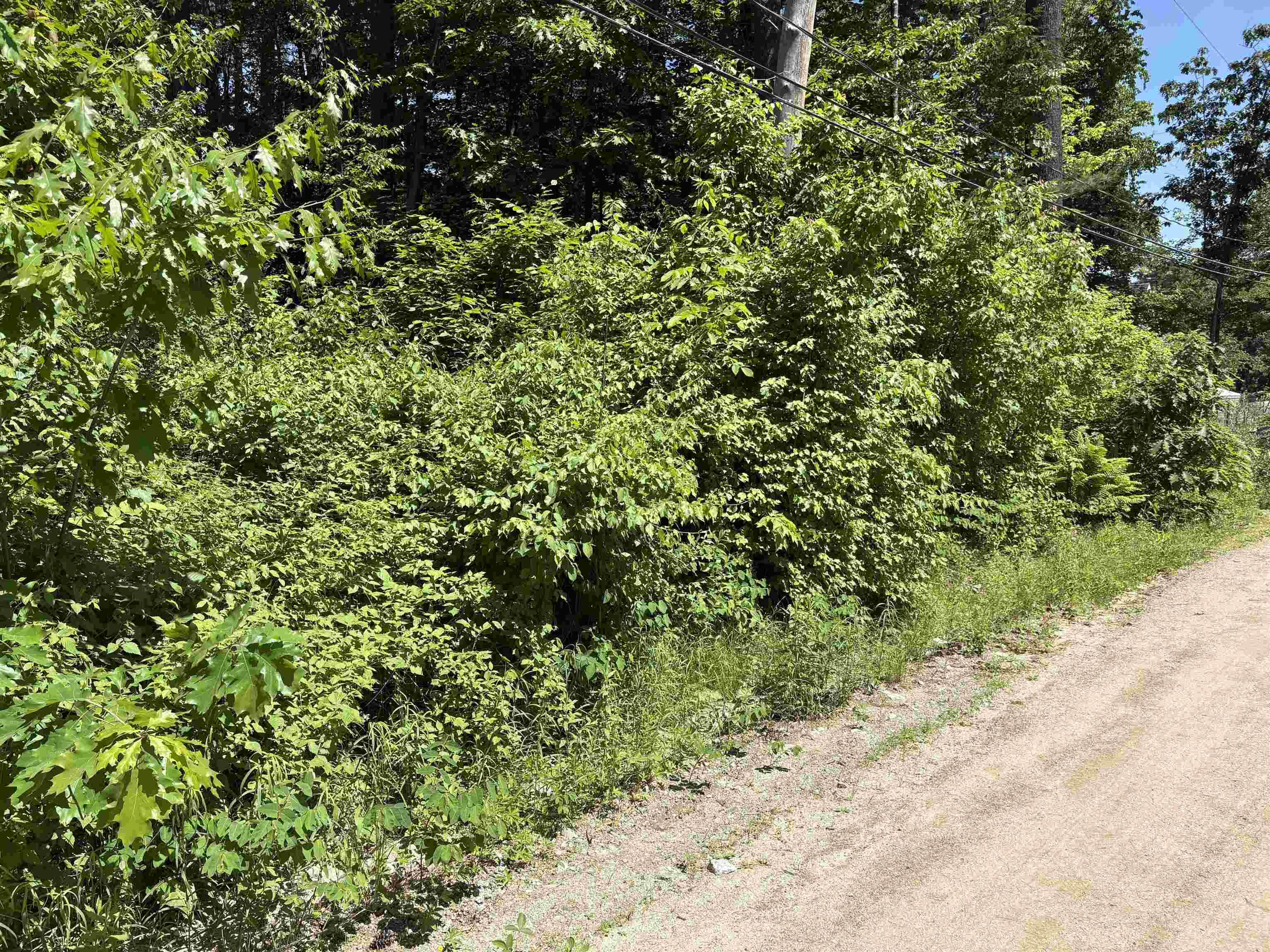 Image 4 Image 4