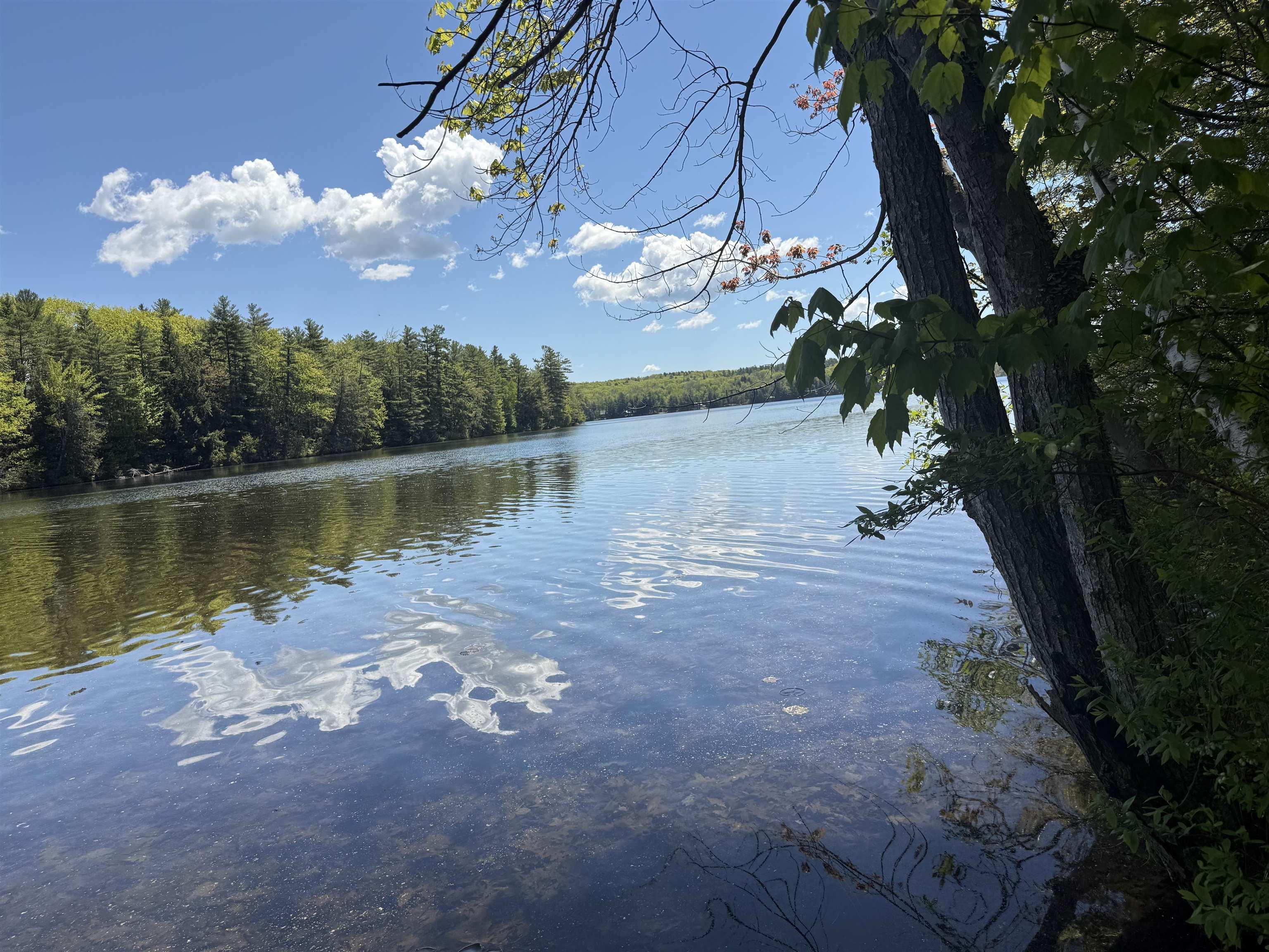Image 3: 2.6 acres+/- & 85' Waterfront
