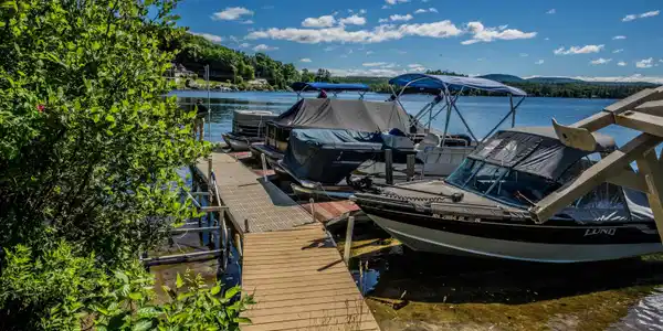 788 Laconia